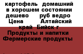 картофель  домашний  в хорошем состоянии, дешево: 50 руб/ведро › Цена ­ 50 - Алтайский край, Бийск г. Продукты и напитки » Фермерские продукты   